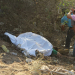 Serrinha – Motociclista morre em mais um grave acidente na BR 116