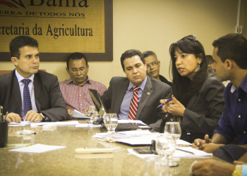 Cultura do sisal vive momento de crise e preocupa o deputado Tom Araújo (DEM)