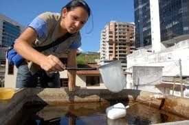 Ministério da Saúde libera R$ 13,2 milhões para Bahia combater dengue