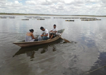Criadores recebem doação de alevinos em Poço Grande