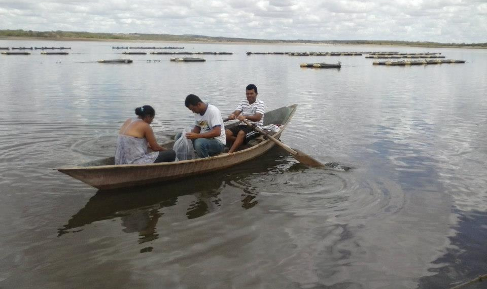 Criadores recebem doação de alevinos em Poço Grande