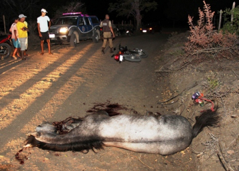 Motociclista atropela animal e é transferido com diversas fraturas