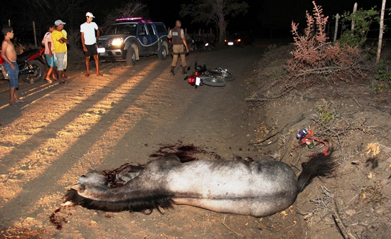 Motociclista atropela animal e é transferido com diversas fraturas