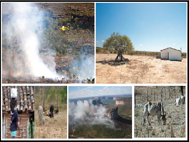 Incêndio na Chapada e estiagem deixam 260 municípios baianos em situação de emergência