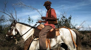 Fotógrafo da BBC documenta o drama da seca na Bahia