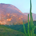 Incêndio destrói vegetação de serra de mata fechada