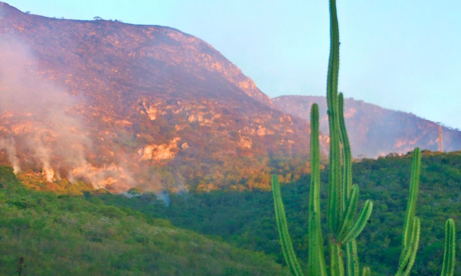 Incêndio destrói vegetação de serra de mata fechada