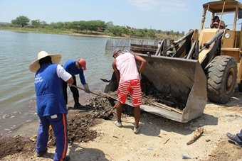 Coité – Peixes mortos são retirados do Açude de Itarandi