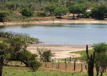 Coité – Peixes mortos são retirados do Açude de Itarandi