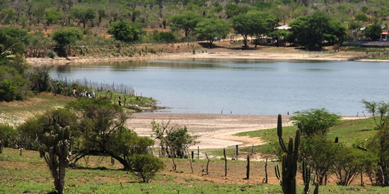 Coité – Peixes mortos são retirados do Açude de Itarandi