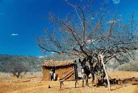 Territórios de identidade baianos terão plano de ação para minimizar efeitos da seca