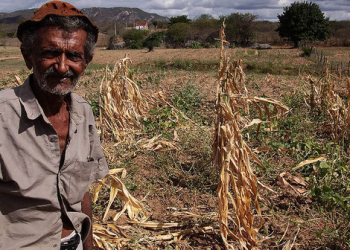 Territórios de identidade baianos terão plano de ação para minimizar efeitos da seca