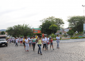 Mobilização alerta moradores sobre a importância da prevenção contra a dengue
