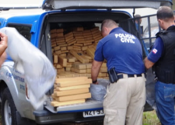 Polícia apreende quase 800 kg de maconha em Conceição do Jacuípe