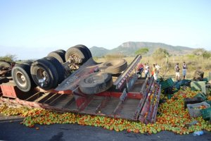 Caminhoneiro morre após desviar veículo de animal na BA-052