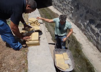 Cerca de 200 quilos de maconha são encontrados dentro de esgoto em Feira de Santana