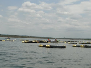 Pescadores de Poço Grande recebem novos equipamentos de trabalho
