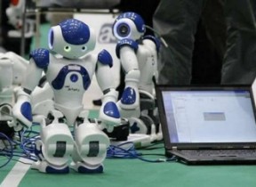 robos jogadores