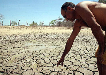 Seca compromete gado e plantação na região de Irecê