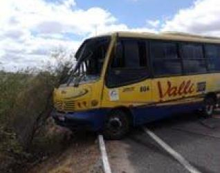 Micro-ônibus derrapa próximo à ponte do rio Sacraiú na BA-233