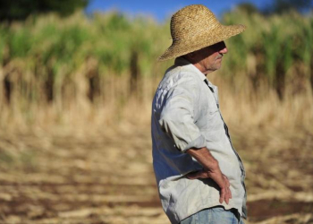 Volta da chuva traz esperança para agricultores