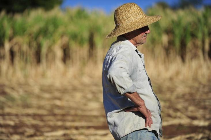 Volta da chuva traz esperança para agricultores