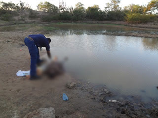 Homem é encontrado morto em tanque depois de receber coice de cavalo