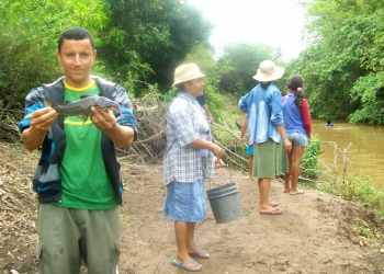 Morte de peixes no Rio Itapicuru preocupa moradores do Alto de São Gonçalo