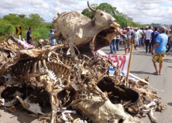Agricultores de Ponto Novo bloqueiam BR 407 em protesto por falta d’água