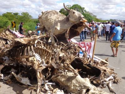 Agricultores de Ponto Novo bloqueiam BR 407 em protesto por falta d’água