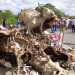 Agricultores de Ponto Novo bloqueiam BR 407 em protesto por falta d’água