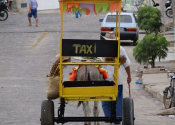 Serviço de ‘Jeque Táxi’ será oferecido durante São João em Piritiba