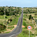 Verde já está mudando a paisagem de várias regiões do semiárido baiano