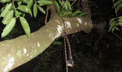 Idoso comete suicídio na zona rural de Valente