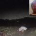 Mulher é encontrada morta em lagoa no município de Valente
