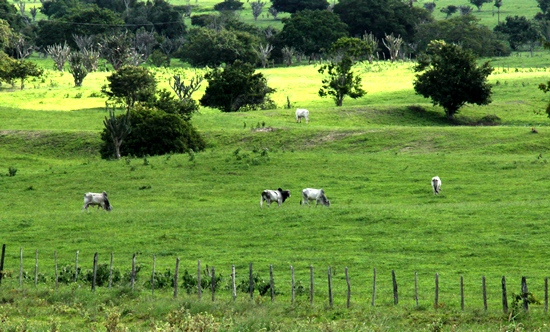 Algumas regiões já apresentam cenários mais alegres, mas quantidade de chuvas não aumentam nível das barragens