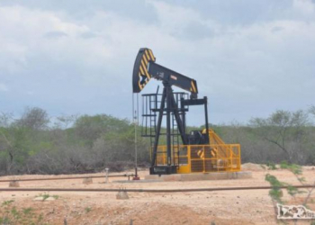 ANP realiza leilão de blocos de petróleo que inclui as bacias de Tucano Sul e Recôncavo