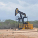 ANP realiza leilão de blocos de petróleo que inclui as bacias de Tucano Sul e Recôncavo