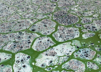 Coité – Moradores do Açude Itarandi voltam a conviver com situação mais grave que a morte de toneladas de peixes