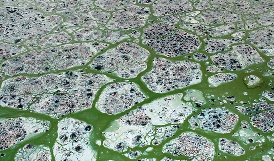 Coité – Moradores do Açude Itarandi voltam a conviver com situação mais grave que a morte de toneladas de peixes