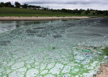 Coité – Moradores do Açude Itarandi voltam a conviver com situação mais grave que a morte de toneladas de peixes