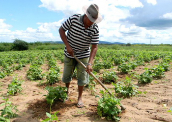 Senado aprova perdão de dívida para pequenos produtores nordestinos