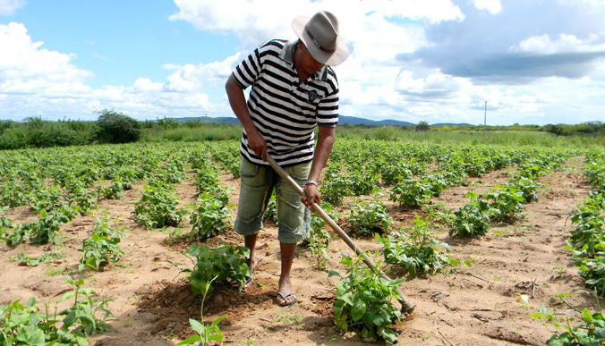 Senado aprova perdão de dívida para pequenos produtores nordestinos