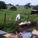 Veículo de funerária capota e mata motorista na BR 324 próximo a Riachão do Jacuípe