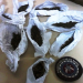 Polícia Militar prende dupla portando maconha no distrito de Caldas do Jorro