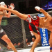 Serrinha sediará evento internacional de MMA no próximo dia 15