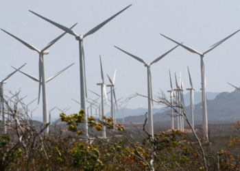 Tucano e outros municípios da região terão exploração de energia eólica