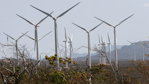 Tucano e outros municípios da região terão exploração de energia eólica