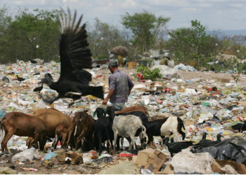 Lei obriga municípios brasileiros a acabarem com os lixões até 2014