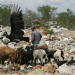 Lei obriga municípios brasileiros a acabarem com os lixões até 2014